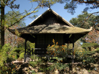 Irish National Stud and Japanese Gardens